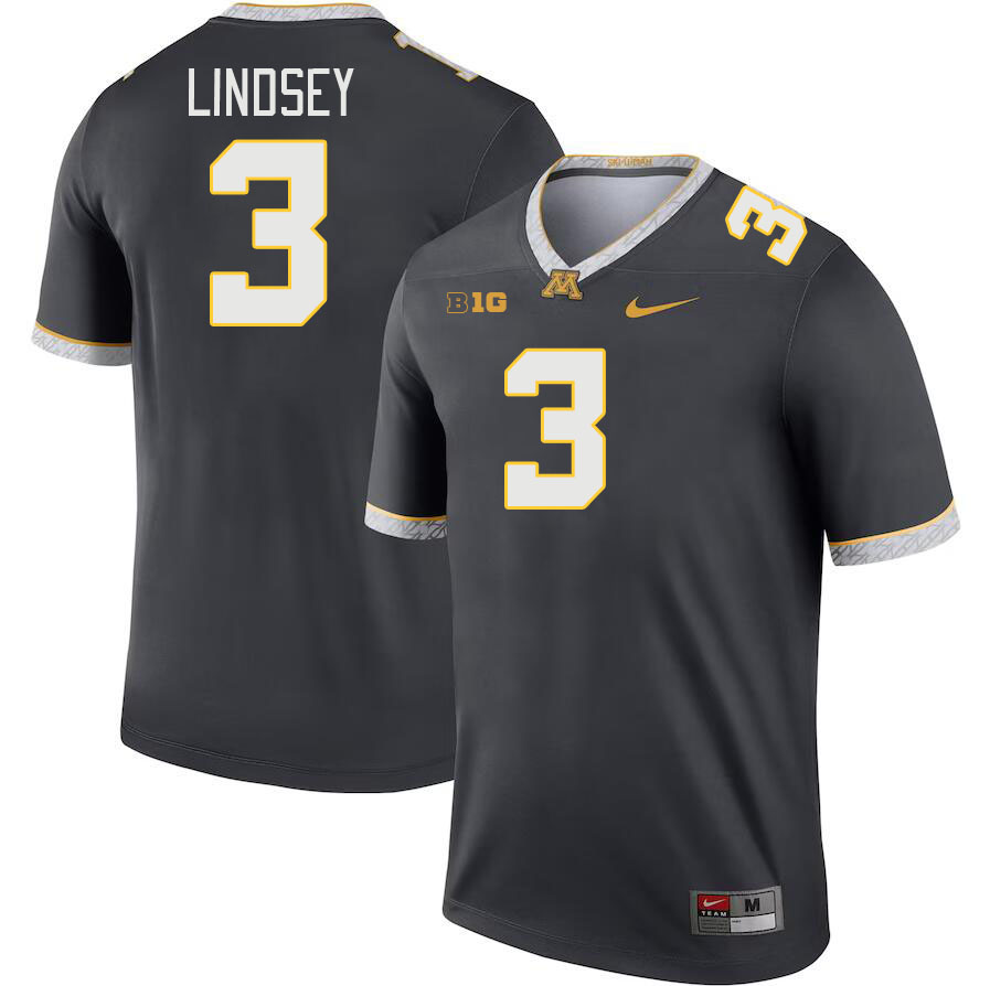 Men #3 Drake Lindsey Minnesota Golden Gophers College Football Jerseys Stitched-Charcoal